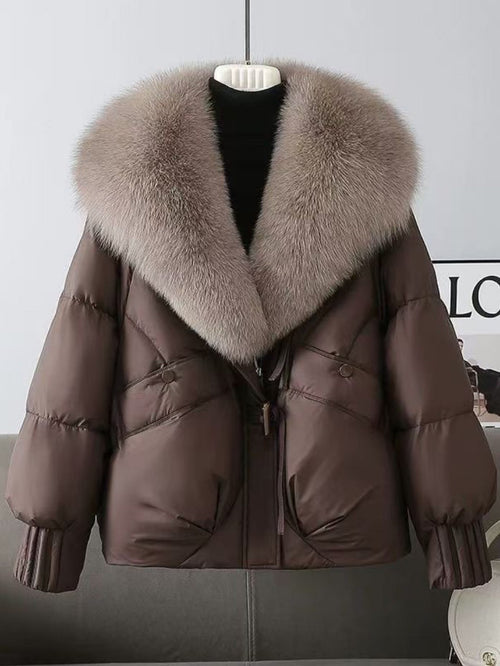 Fashion & Essentials